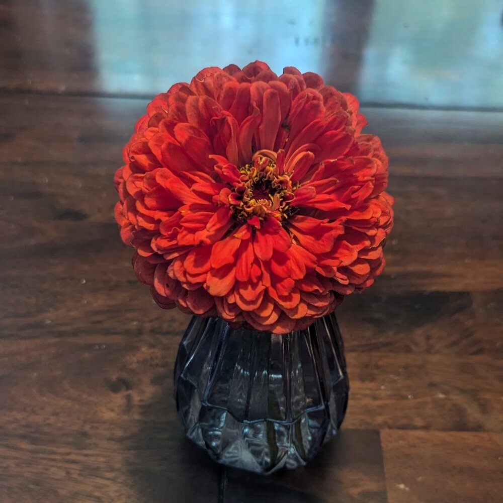 Meet your Posher, Maegan